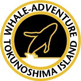 whale-adventure